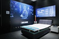 晚安家居上榜2022-2023十大软体家居（床/床垫）优选品牌