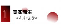 向实而生 同心共赢 | 素派门窗年度表彰大会暨营销战略峰会圆满成功！
