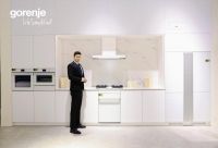 艺见简雅 ｜ gorenje新品亮相AWE2024，勾勒未来艺术家电蓝图，重塑理想生活