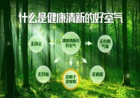 产品升级｜蓝天豚负氧离子涂料，刷在墙上的“空气净化器”！