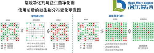 创新型益生菌 助力人居环境空净领域发展