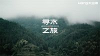 “与木共生”，和大王椰一起守护传统木文化！
