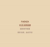 FAENZA 9125系列花洒：洁净新体验，沐浴新境界
