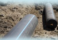 大国工程丨赋能农牧业，联塑打造内蒙古奶牛养殖基地新标杆