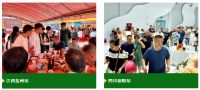 2024年度乡镇活动回顾|兔宝宝与你共度的“惊喜”瞬间！