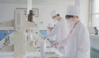 生态家园集团闪耀2024年度中国瓷砖铺贴行业大会，荣获金砂奖等多项殊荣