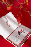 联名CHANEL合作艺术家，索菲亚家居2025新春跨界献礼！