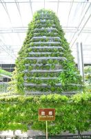 联塑聚焦现代农业设施，为全球农业4.0贡献力量