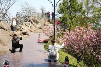 燕子矶，即将满是“追花人”