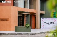 逐光而行 璀璨新生|东鹏x丽适2025高端岩板战略发布会盛启新章