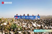 顾家1号垫十周年，从“安睡”到“深睡”的进化之路