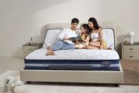 舒达携手蔚来深圳 智能好搭子开启满电好状态