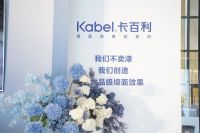 卡百利领跑高端艺术漆领域，深耕用户筑口碑长城