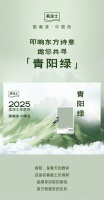 美涂士艺术漆|2025国潮色正式发布！邀您共寻「青阳绿」