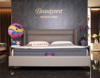 甜梦传“绮”·匠心对话|Simmons®席梦思林建峰谈Beautyrest®甜梦系列的百年...