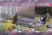 大象都撑得住的床垫！顾家家居撑腰床垫直播引爆全网