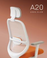 震旦家具 x SS2025上海时装周 A20人体工学椅坐享舒适