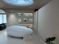 原装原罐|意大利萨铂艺术涂料太原旗舰店盛大开业