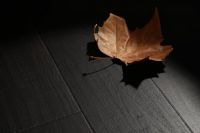 以木抵心，成就自然 ——Der·1863受邀参展2025米兰设计周