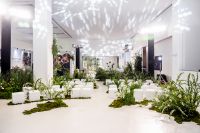 Bugaboo Fox 5 Renew新品发布会——自然灵感引领育儿风尚