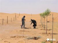 DOJUS 度假式家私：重构家居消费场景，定义“日常，就度假”的美学革命