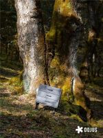 DOJUS 度假式家私：重构家居消费场景，定义“日常，就度假”的美学革命