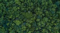 中美关税对抗升级，北美木王率先发声:久盛地板立足国民，积极应对贸易战