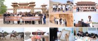 探寻丝路文化，赋能设计美学——卡百利“觅色·敦煌”设计师游学之旅圆满收官