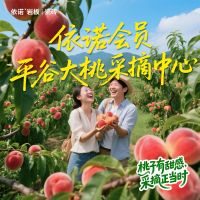 从产品到生态：看依诺岩板瓷砖如何用多元场景重构品牌价值