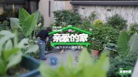 TOTO助力《亲爱的家》温暖绽放 科技与人文守护三代叠墅之家美好生活