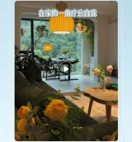 品质焕新家，美好生活再进阶