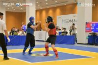 门窗真功夫，安全真守护！新豪轩门窗助2025年国际咏春拳大赛“武”力全开