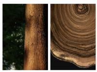 重新定义木纹砖丨安纳西木纹系列新品隆重上市！