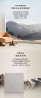 【2025新品上市】新感石系列800×800mm 大理石瓷砖新感觉 自然居家新质感