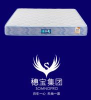 穗宝「启承」新品上市|以启承之名，见证技术智承