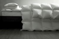 SIDANDA双项世界纪录获福布斯认证，中国羽绒寝具技术实现全球引领