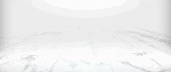 向质深耕·向新而生 | 狮王瓷砖2025秋季经销商峰会暨新品发布会璀璨绽放，共创荣耀新篇章！
