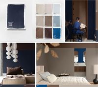 多乐士发布2026全球色彩趋势 ——律动绚蓝，让生活焕彩新生