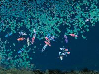 桨动灵感，浪尖创想 | M+设计师桨板活动欢快落幕