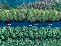 桨动灵感，浪尖创想 | M+设计师桨板活动欢快落幕