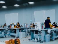 VIZ:当 “种树” 遇上 “穿鞋”，你的日常选择可能藏着森林保护的双面性