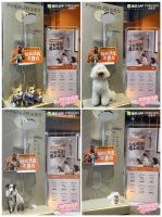 法恩莎萌宠洗花洒惊艳亮相世宠会！2025狗狗全运会高燃收官