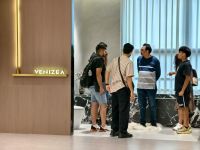 从佛山走向世界：威尔斯玉质石的“技术+文化”全球化方程式