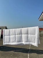 影视飓风 TIM 代言友望除螨仪：戳破无效除螨谎言，揭秘除螨仪的硬核必要性