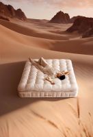 全友×丁真梦幻联动！开启高端健康软体新体验