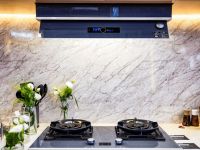 卡萨帝发明全嵌厨电：国内高端第一又进军海外