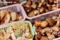 苍山寻鲜，AI为伴：老板电器“寻鲜记”第二站解锁大理山野鲜活人生