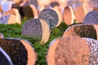 视线丨当开业变成月光与音乐的秀场