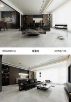 跳出产品同质化！金羽啄木鸟“克隆生态石”如何用“超白奢光”破局