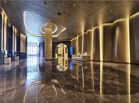 对话2025美国缪斯设计大奖及2025伦敦国际设计大奖双铂金获奖者-秦迪